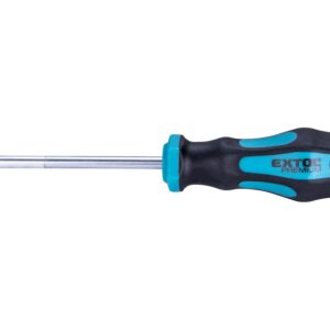 šroubovák TORX, TTa25x100mm, CrV