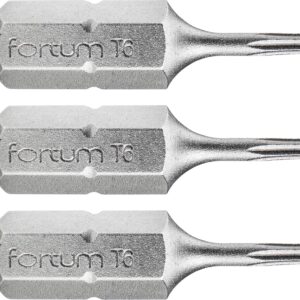 hrot TORX, sada 3ks, T 6x25mm, S2