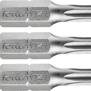 hrot TORX, sada 3ks, T 25x25mm, S2
