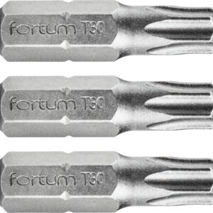 hrot TORX, sada 3ks, T 30x25mm, S2