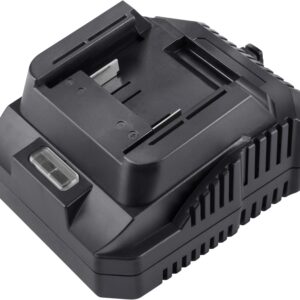 nabíječka Li-ion 20V, 2A